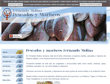 Tablet Screenshot of fernandomolina.com